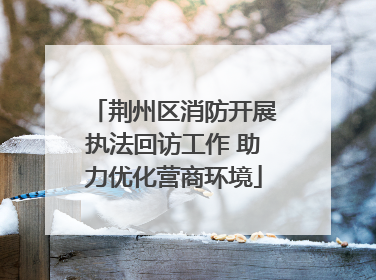 荆州区消防开展执法回访工作 助力优化营商环境